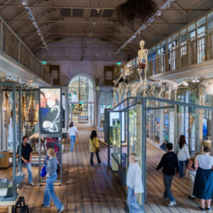 ARTIS-Groote Museum tickets met korting - Afbeelding 1