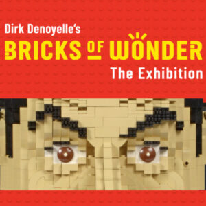 Bricks of Wonder - Afbeelding 1