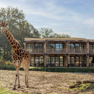 Safari Hotel Beekse Bergen - Afbeelding 1