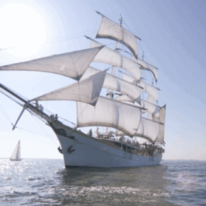 Varen op Stedemaeght - Afbeelding 1