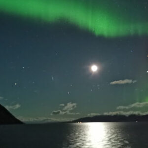 Noorderlichtreis met Hurtigruten - Afbeelding 1
