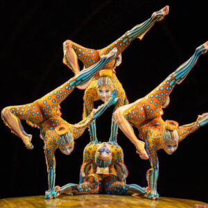 Premium Cirque du Soleil (16:00) arrangement bij 4* Hotel de Plesman - Afbeelding 1